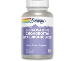 Solaray Glucosamine Chondroitin Hyaluronic Acid -- 90 VegCaps