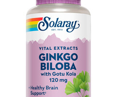 Solaray Ginkgo Biloba One Daily