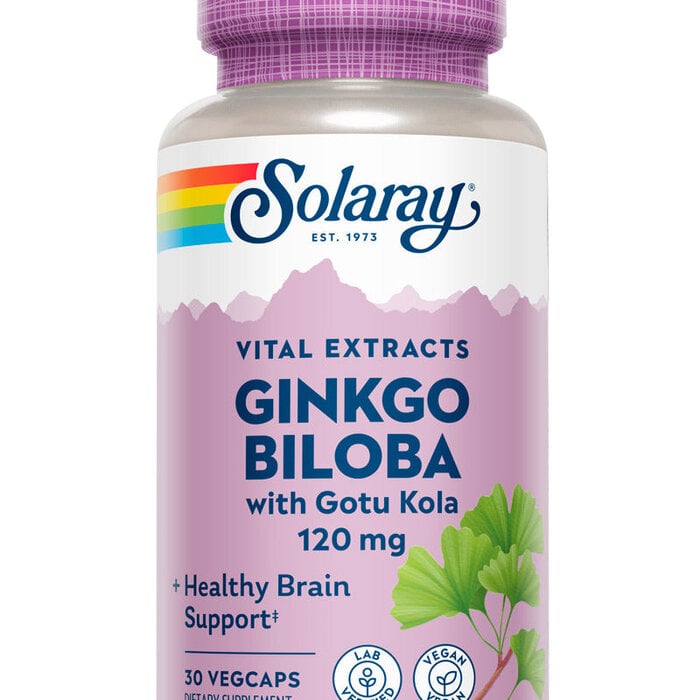 Solaray Ginkgo Biloba One Daily
