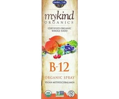 Garden of Life Organic B-12 Raspberry