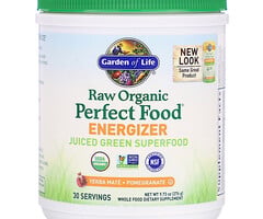 Garden of Life Perfect Food Energizer