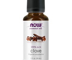 NOW FOODS NOW Foods Clove Oil 1 fl oz