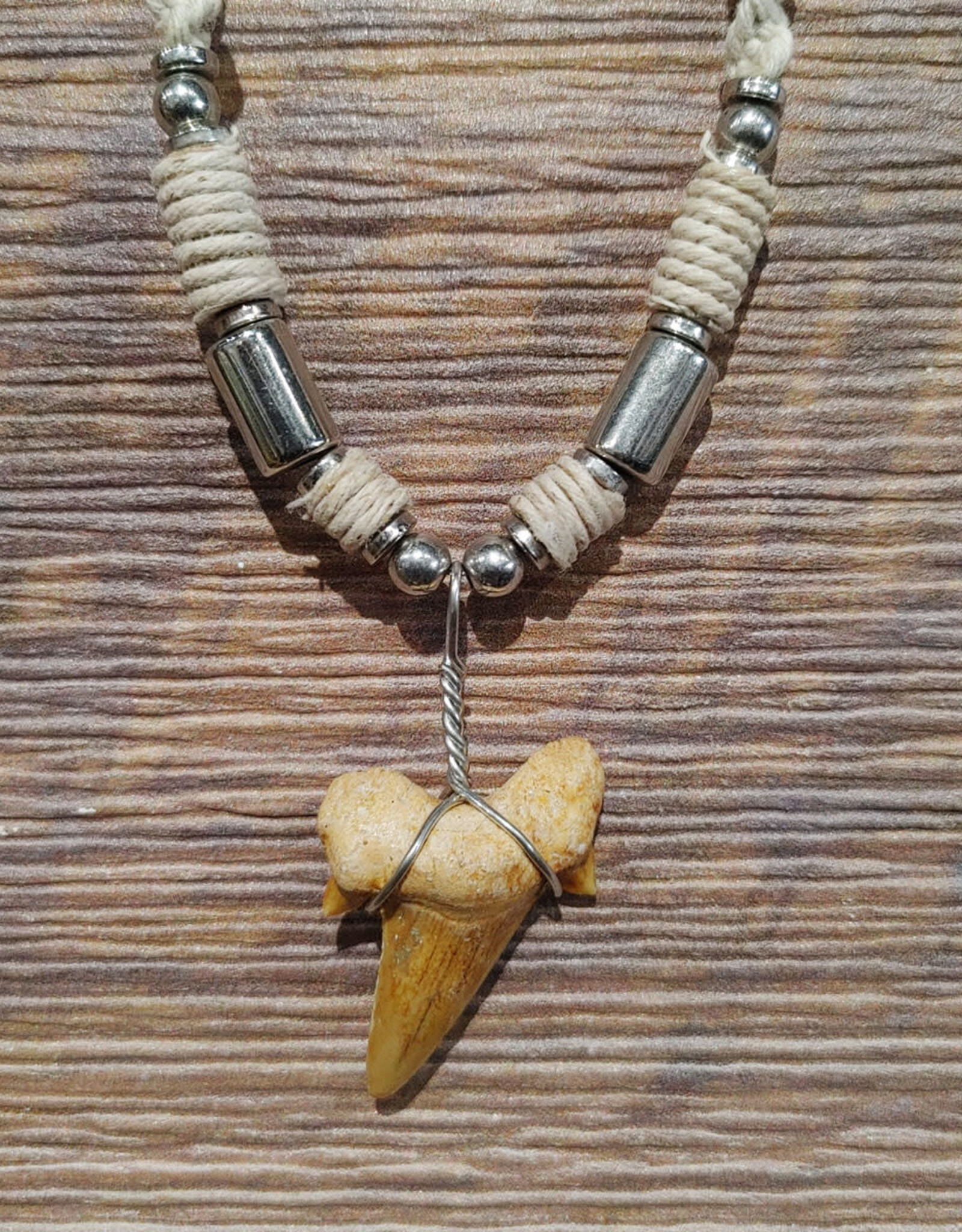 Charming Shark Charming Shark Tan Braided Shark Tooth Necklace