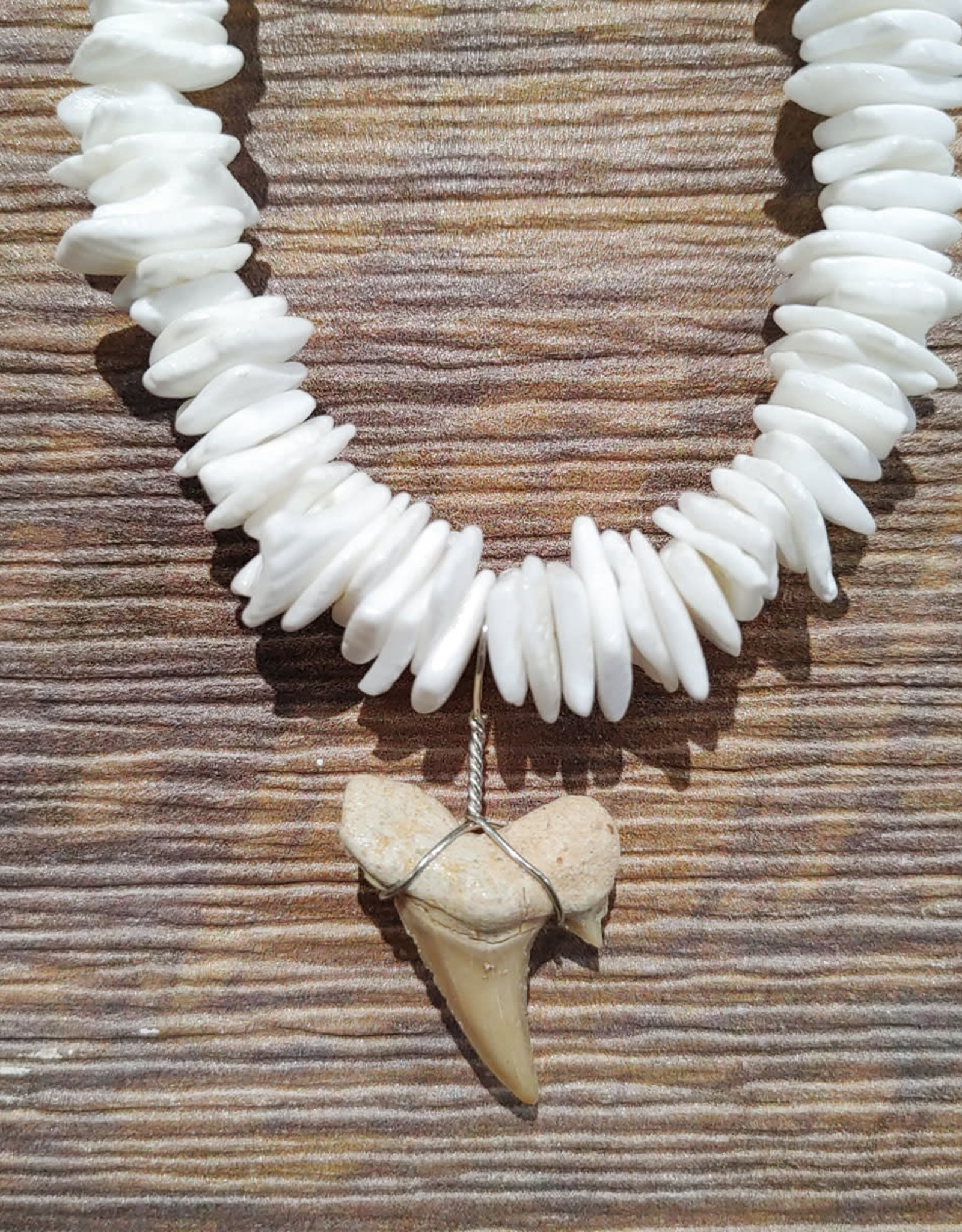 Charming Shark Charming Shark Chipped Puka Shell Shark Tooth Necklace