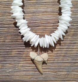 Charming Shark Charming Shark Chipped Puka Shell Shark Tooth Necklace