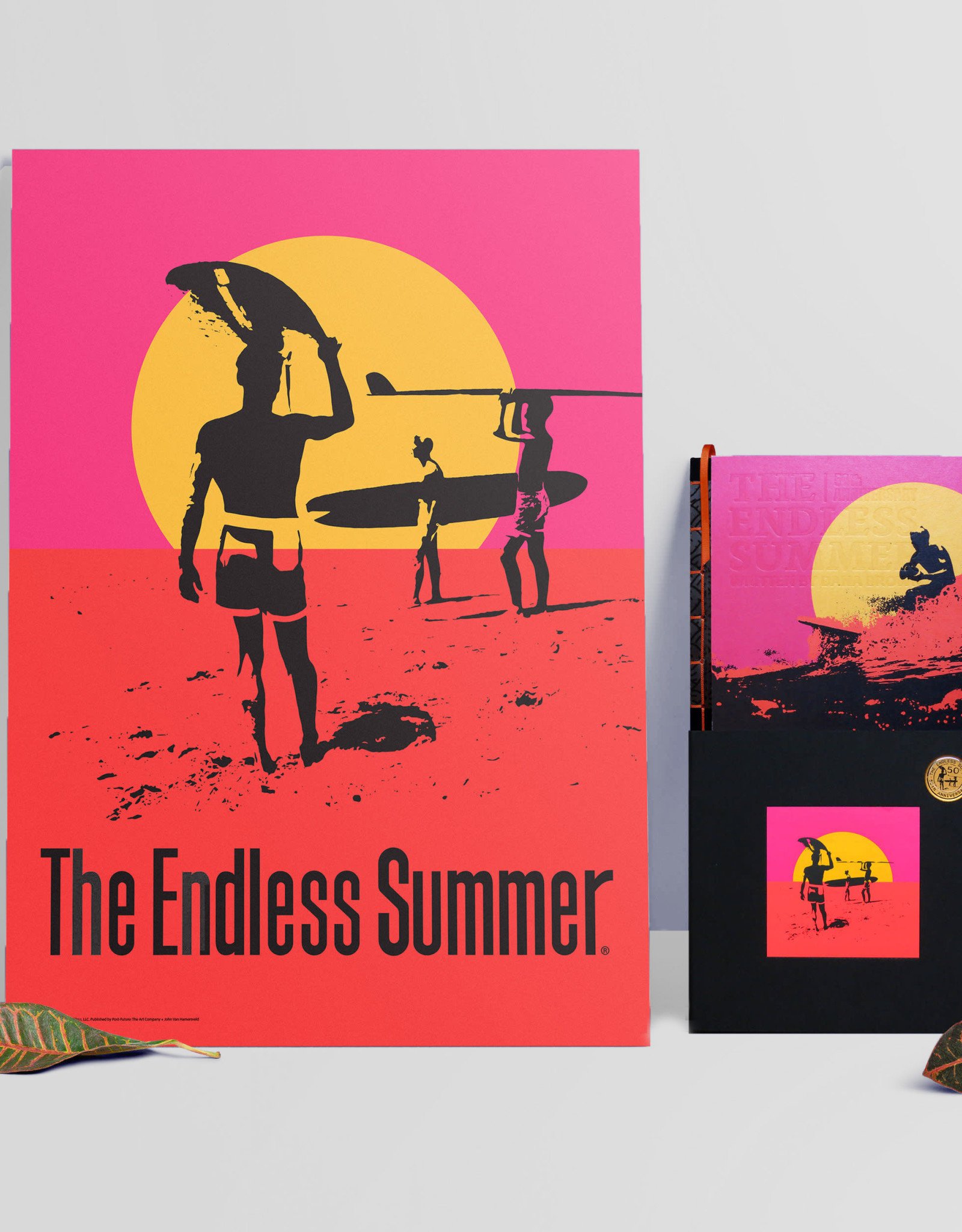 The Endless Summer Bruce Brown Films The Endless Summer 50th Anniversary Collectors Numbered Edition Box Set