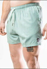 Cove Cove Boardshorts Seafoam