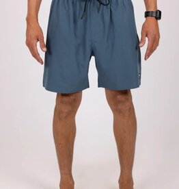 Rusty Rusty Beau 17" Elastic Boardshort Moonlight