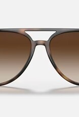 Ray Ban Ray Ban Havana Sunglasses Gradient Brown