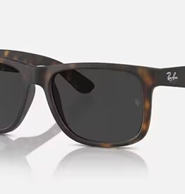 Ray Ban Ray Ban Justin Rubber Havana Sunglasses Dark Grey Polarized