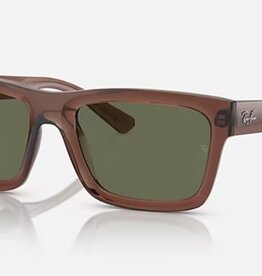 Ray Ban Ray Ban Warren Dark Green Polarized Sunglasses Transparent Brown