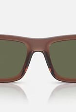 Ray Ban Ray Ban Warren Dark Green Polarized Sunglasses Transparent Brown