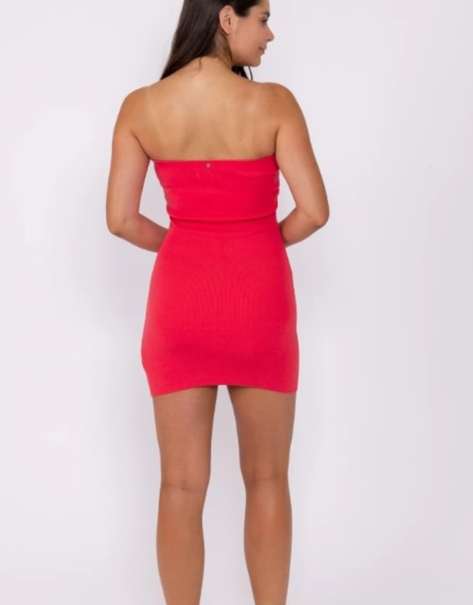 Rusty Rusty Ruby Strapless Mini Dress Cayenne