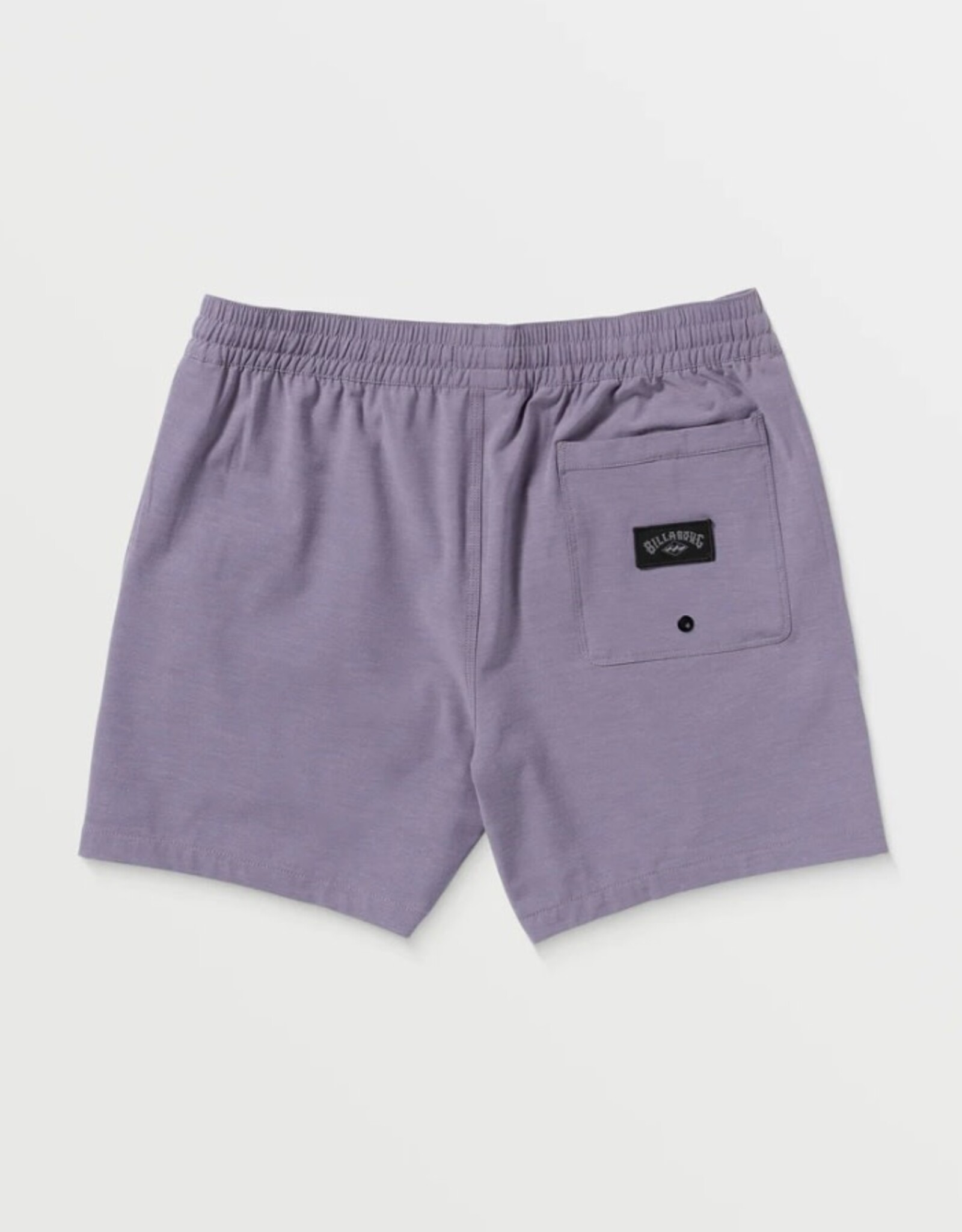 Billabong Billabong Every Other Day Layback Boardshort Lavender