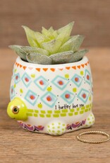 Natural Life Natural Life Tiny Faux Succulent Turtle