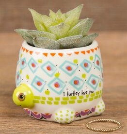 Natural Life Natural Life Tiny Faux Succulent Turtle