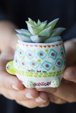 Natural Life Natural Life Tiny Faux Succulent Turtle