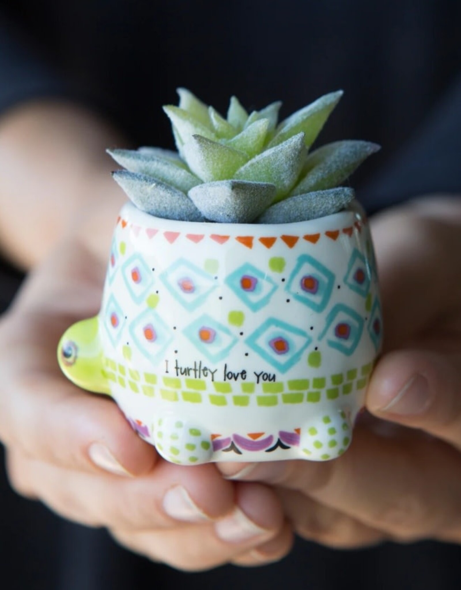 Natural Life Natural Life Tiny Faux Succulent Turtle