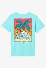 O'Neill O'Neill Boys Rippable Tee Turquoise