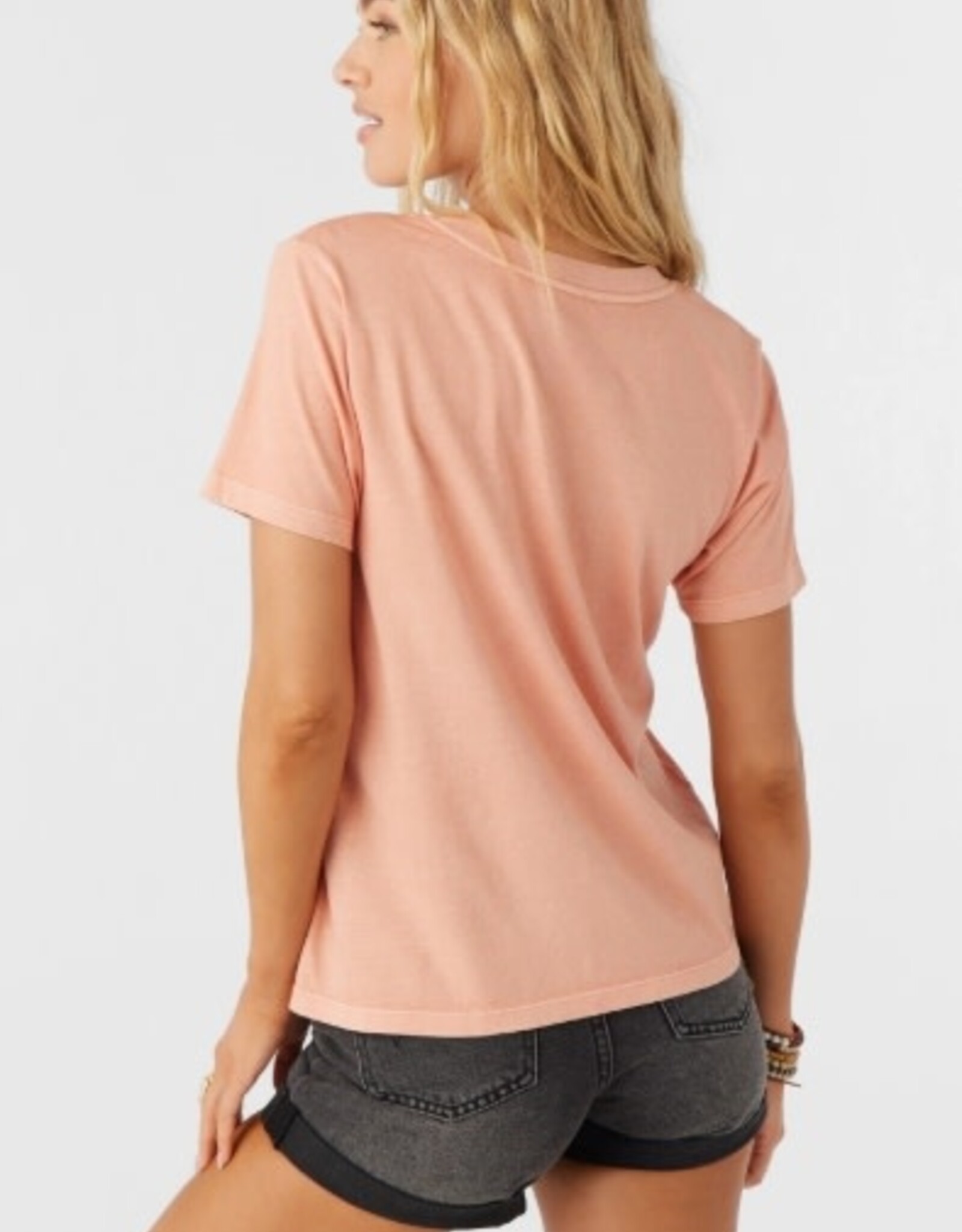 O'Neill O'Neill Stellar Surfer Tee Canyon Sunset