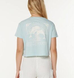 Roxy Roxy Sunset Dreams Cropped Boxy Tee Stratosphere Sunset Dreams