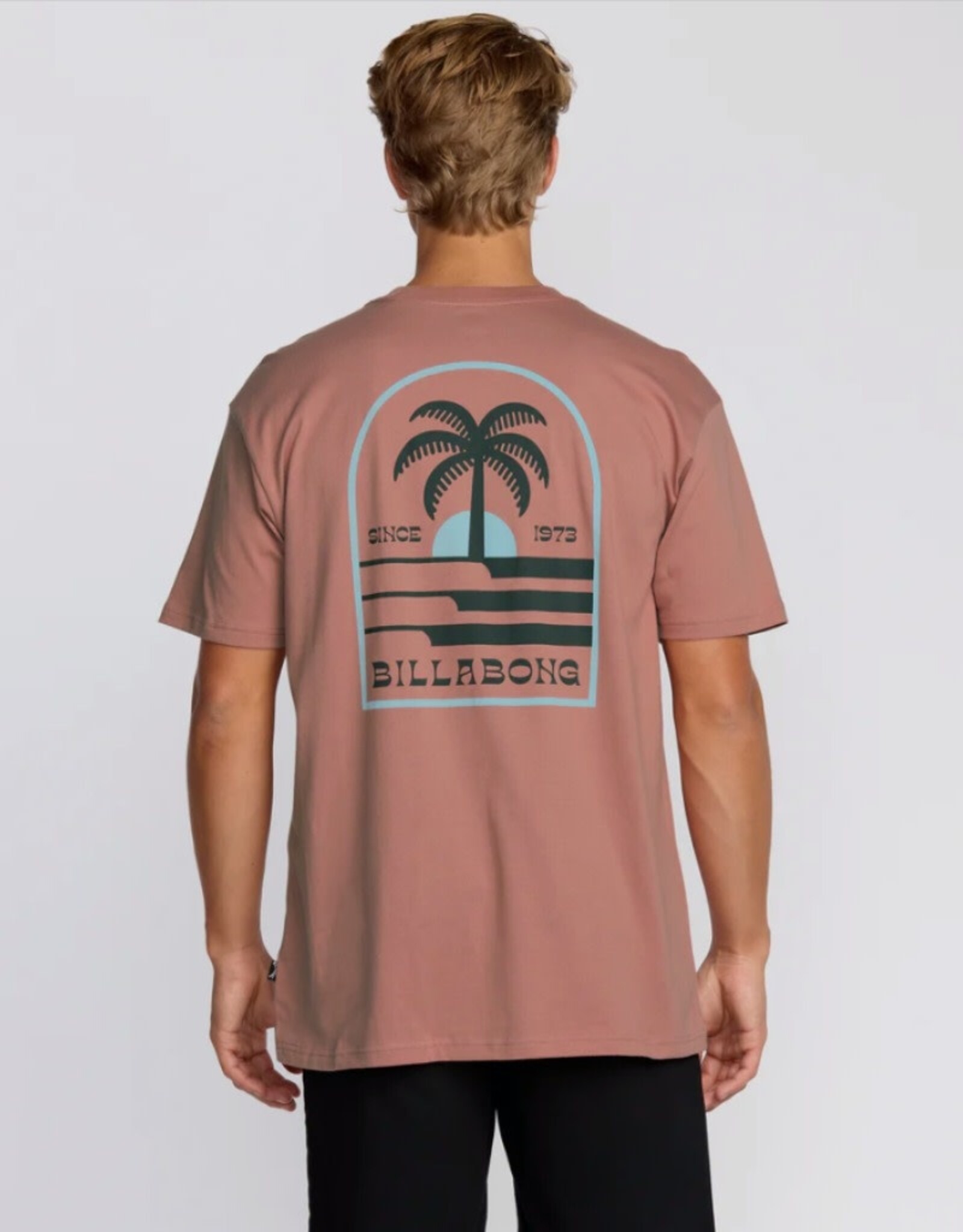 Billabong Billabong Portal Premium Short Sleeve Tee Dusty Rose