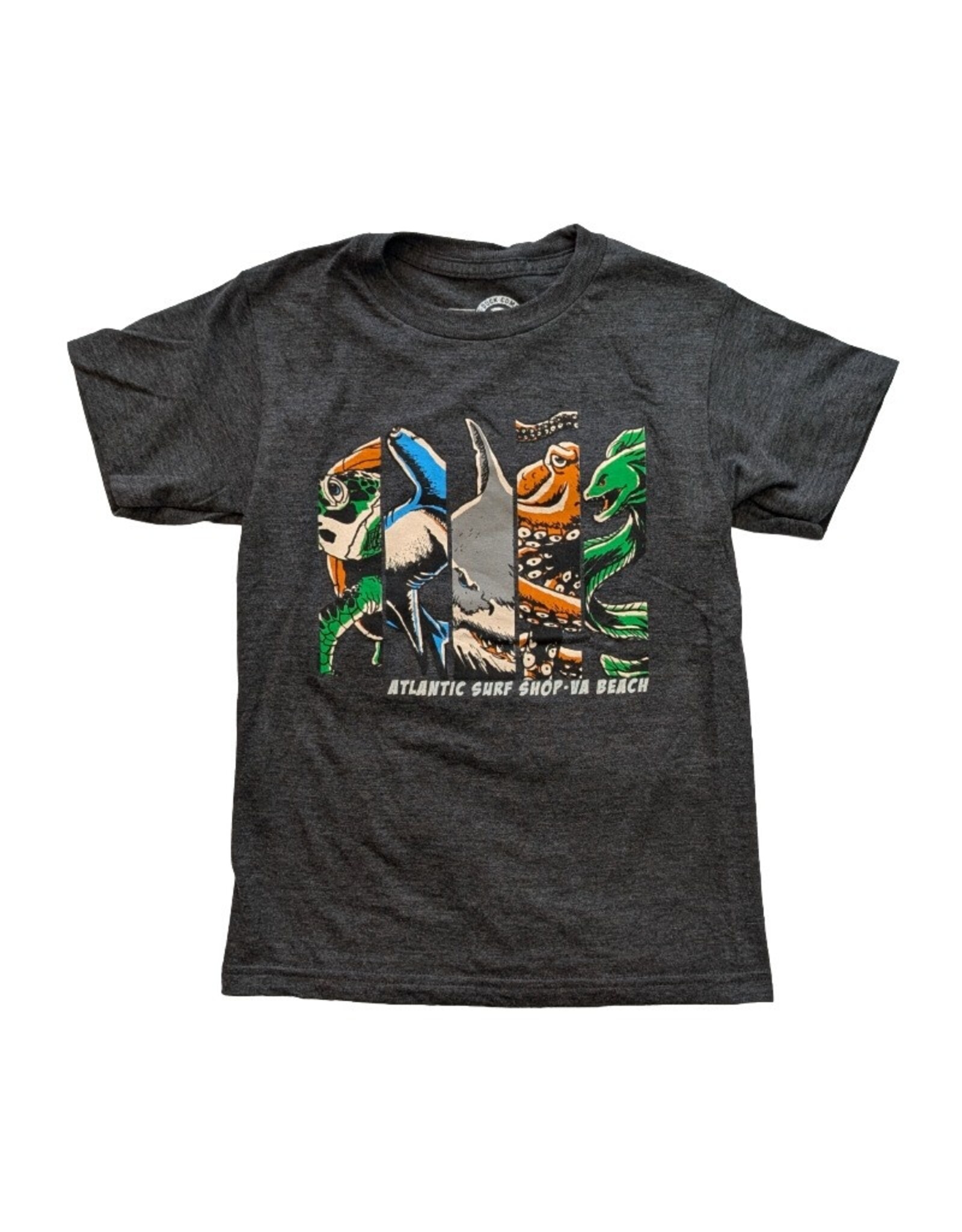 Atlantic Surf Co Atlantic Surf Aqua League Youth T-shirt Grey