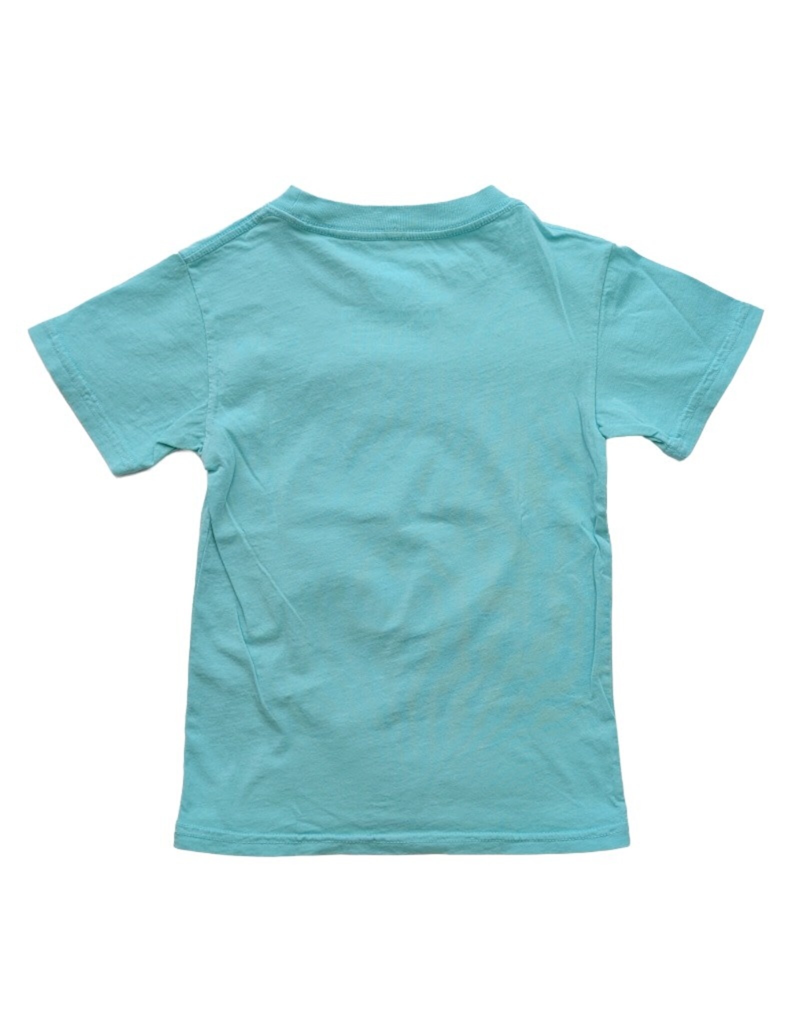 Atlantic Surf Co Atlantic Surf Surf's Up Youth T-shirt Aquamarine