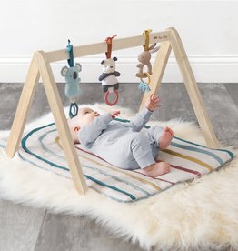 Itzy Ritzy Ritzy Activity Gym Wooden Gym with Toys
