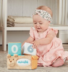 Gund Milestones & Moments Block Set