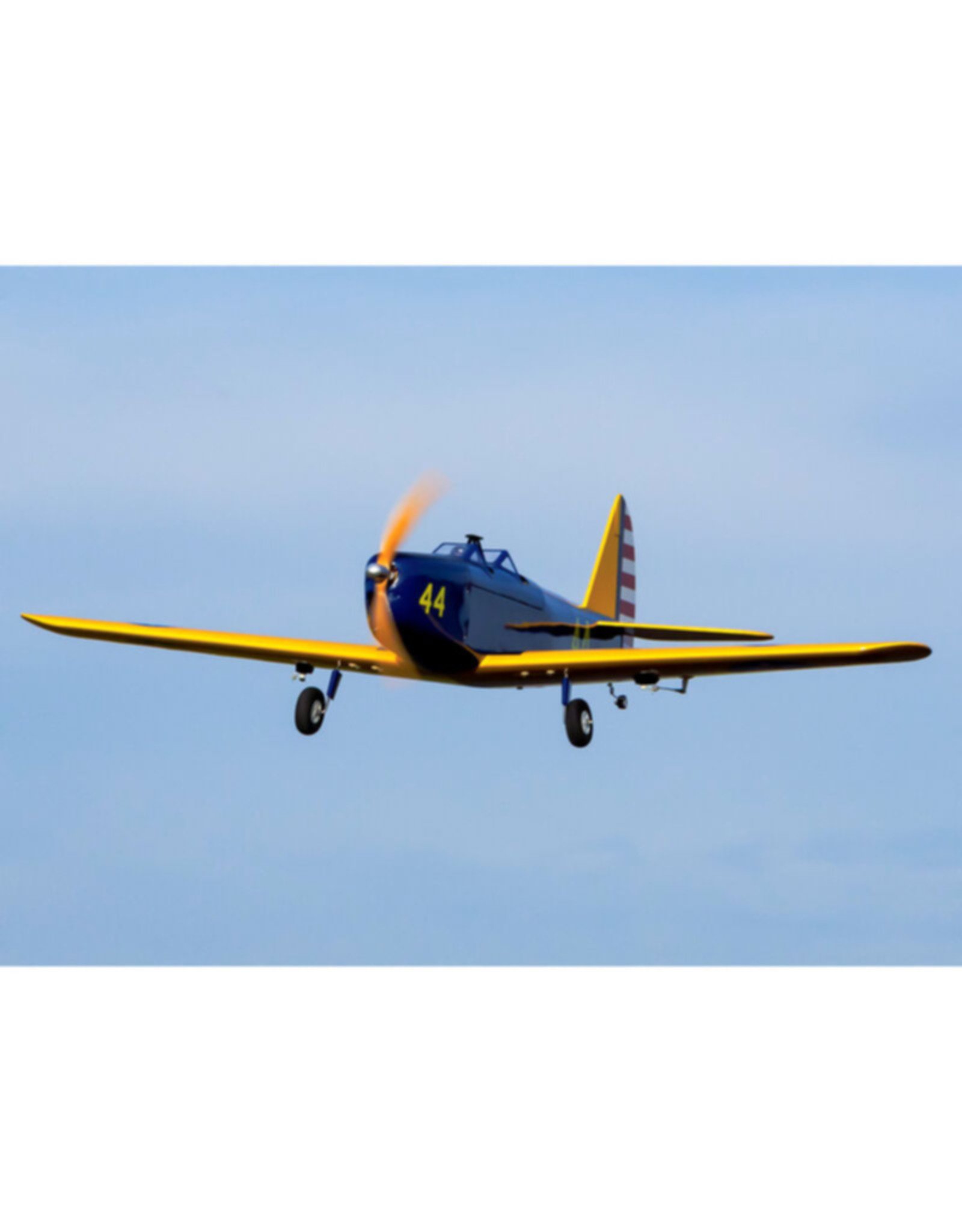 hanger 9 HAN3180 Hangar 9 Fun Scale PT-19 PNP