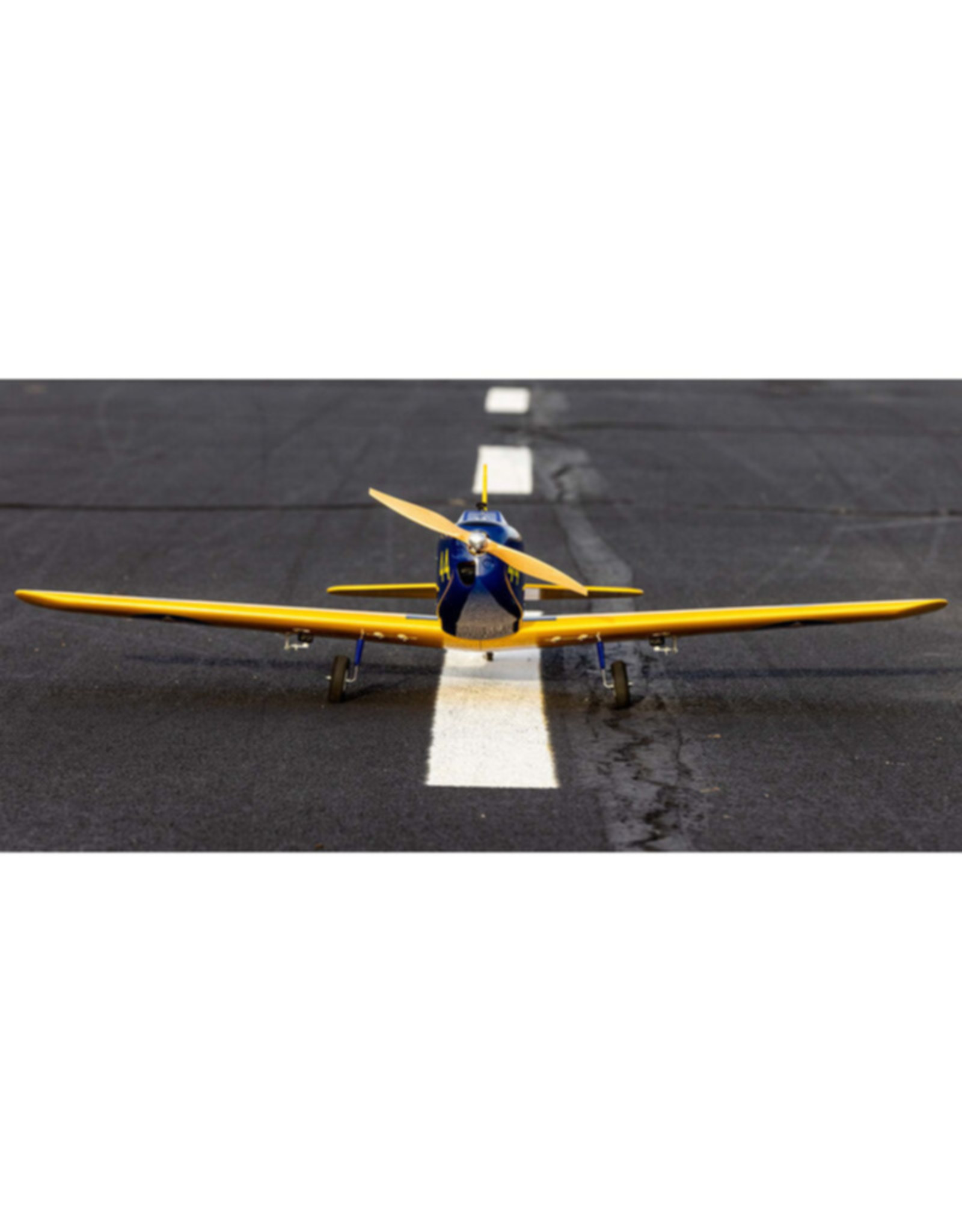 hanger 9 HAN3180 Hangar 9 Fun Scale PT-19 PNP