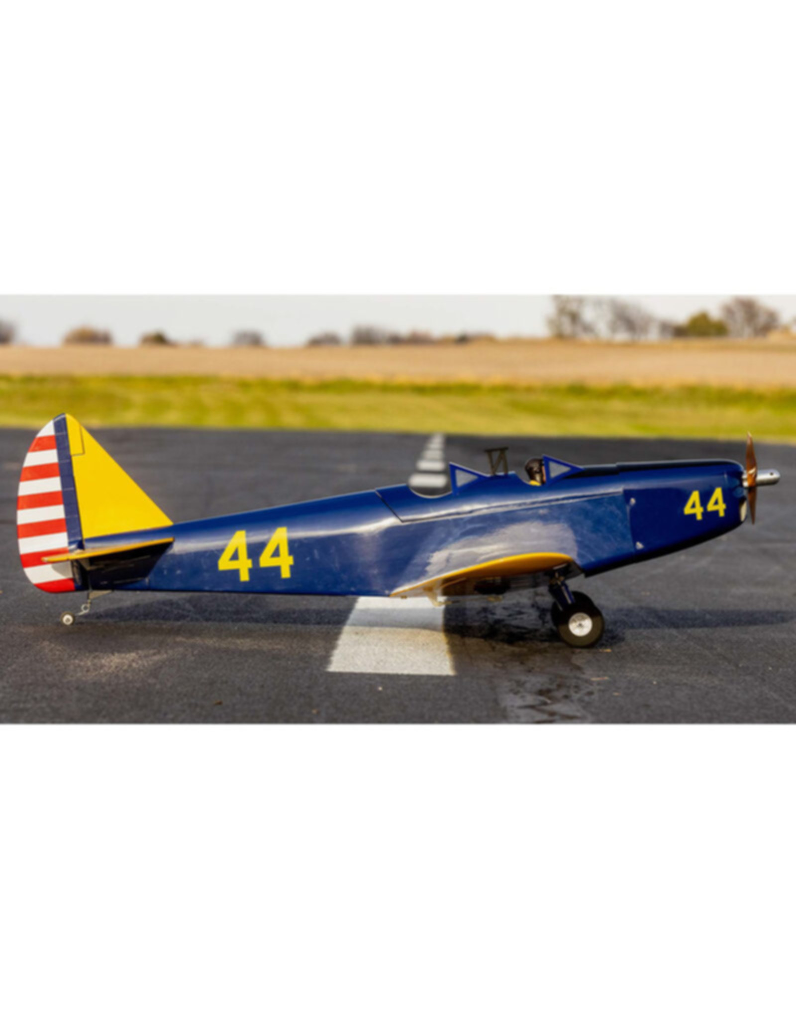 hanger 9 HAN3180 Hangar 9 Fun Scale PT-19 PNP