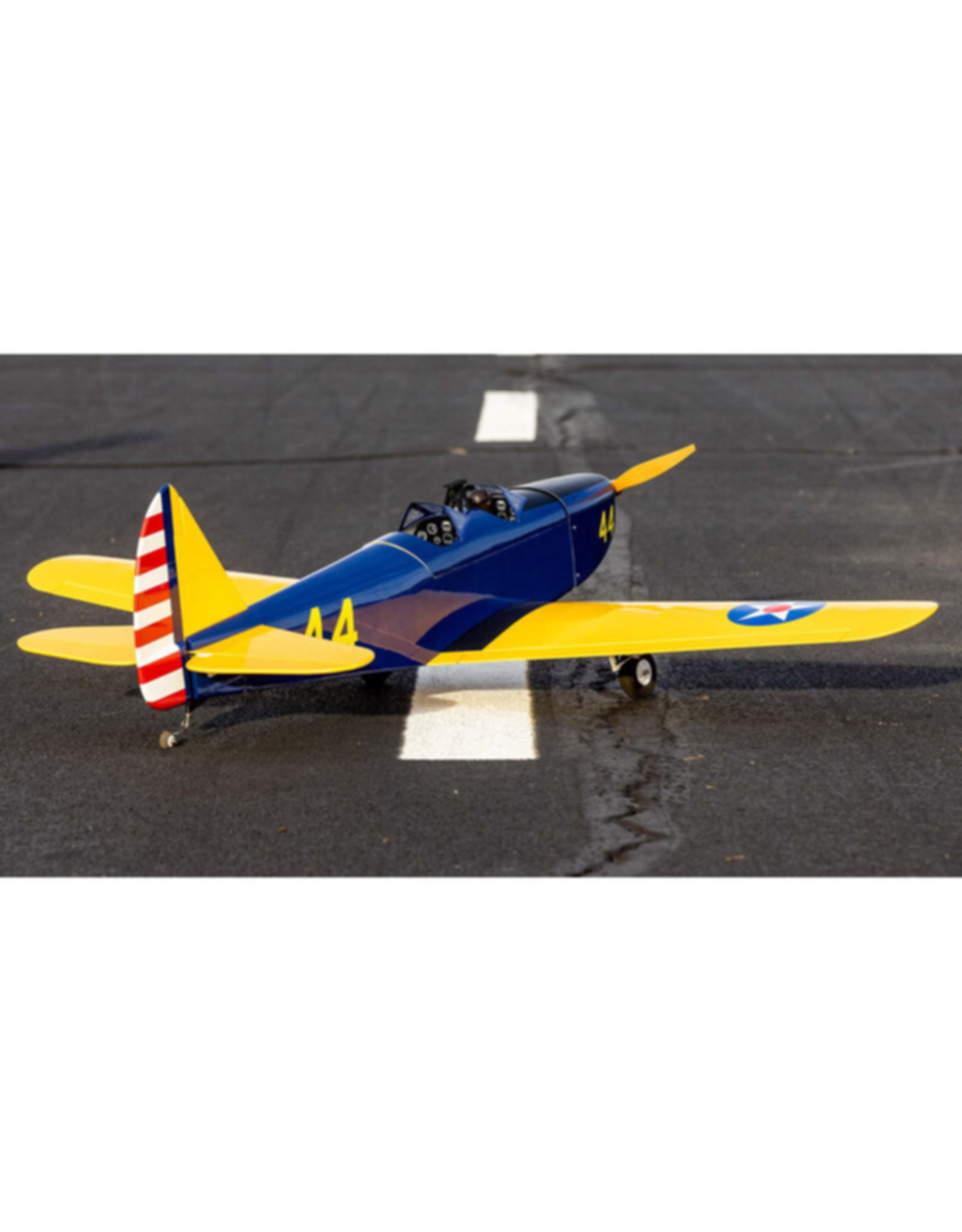 hanger 9 HAN3180 Hangar 9 Fun Scale PT-19 PNP