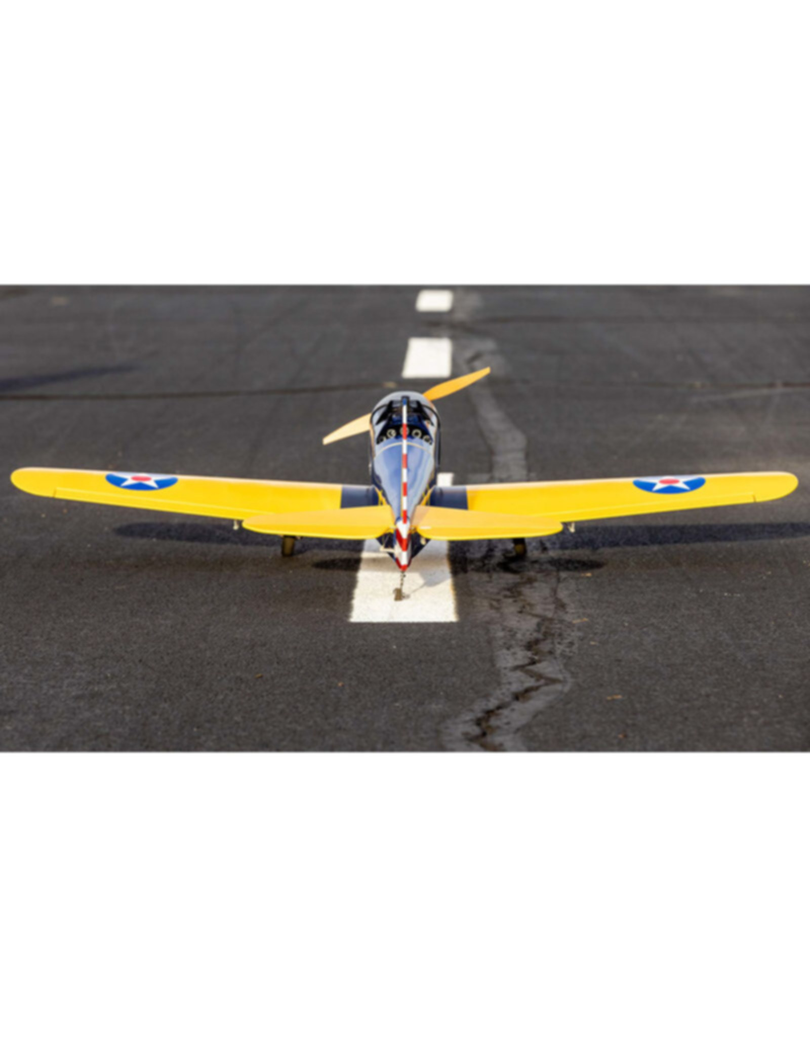 hanger 9 HAN3180 Hangar 9 Fun Scale PT-19 PNP