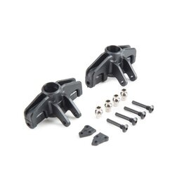 Losi LOS234005 Steering Spindle Set & Hardware: Baja Rey