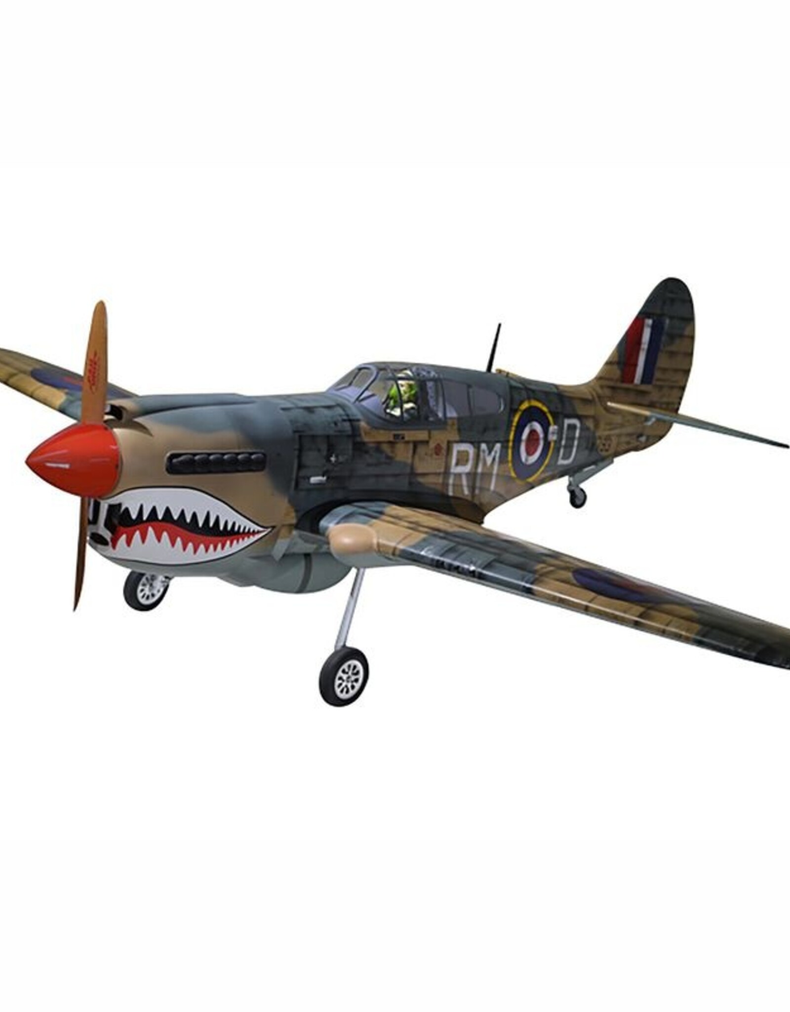 phoenix PMMA0216  P-40 Warhawk 35-55cc ARF
