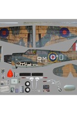phoenix PMMA0216  P-40 Warhawk 35-55cc ARF
