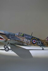 phoenix PMMA0216  P-40 Warhawk 35-55cc ARF