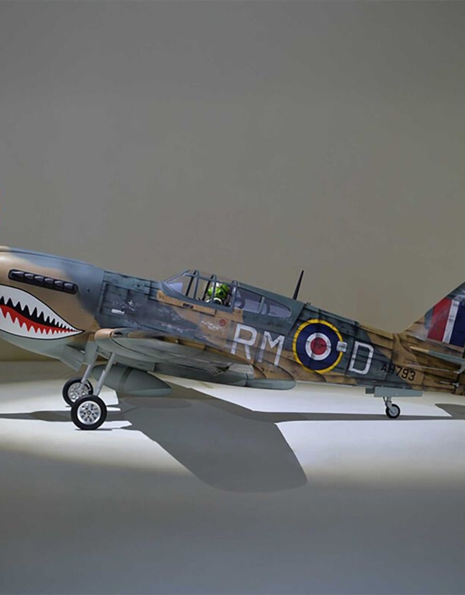 phoenix PMMA0216  P-40 Warhawk 35-55cc ARF