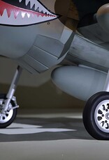 phoenix PMMA0216  P-40 Warhawk 35-55cc ARF