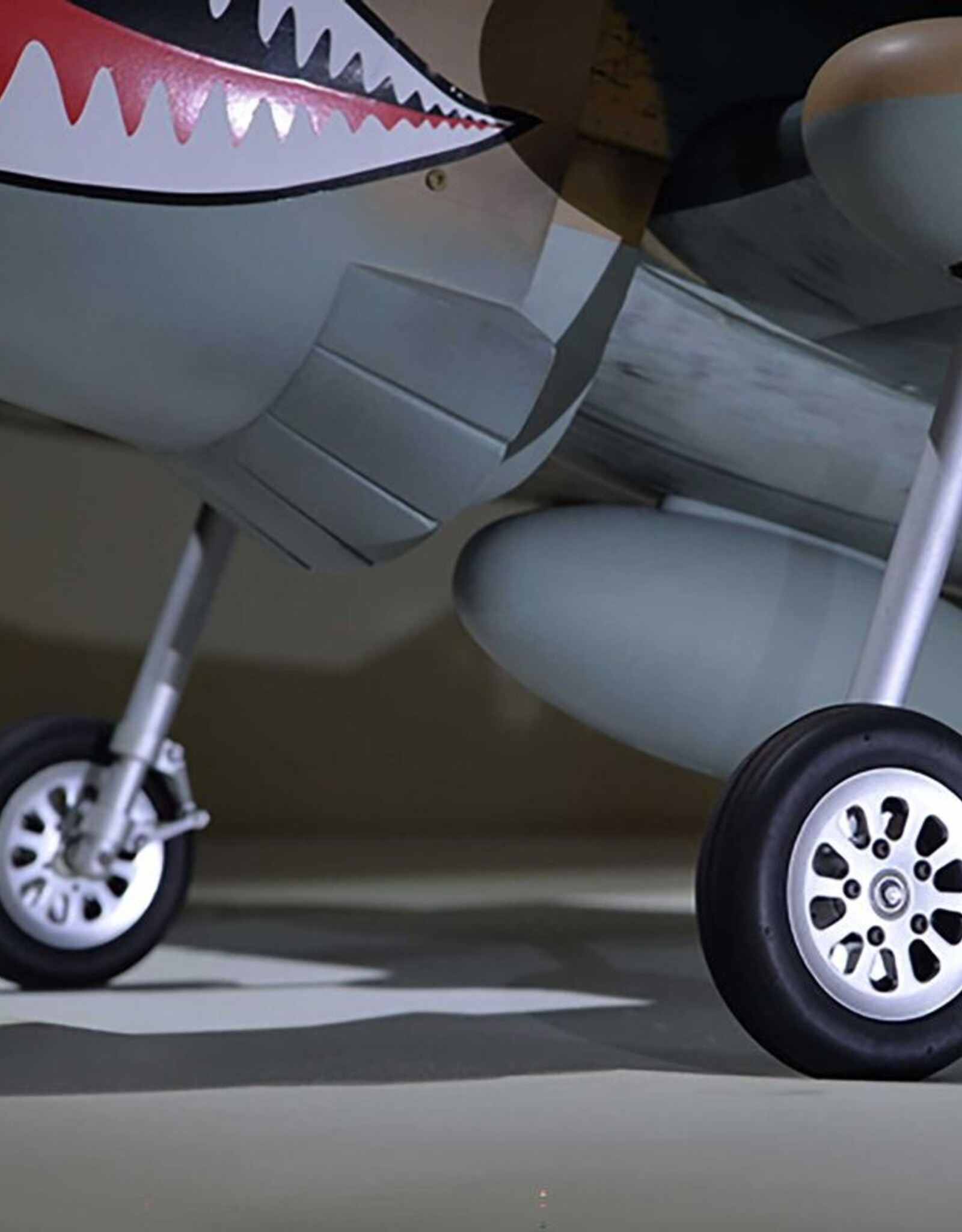 phoenix PMMA0216  P-40 Warhawk 35-55cc ARF