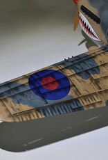 phoenix PMMA0216  P-40 Warhawk 35-55cc ARF