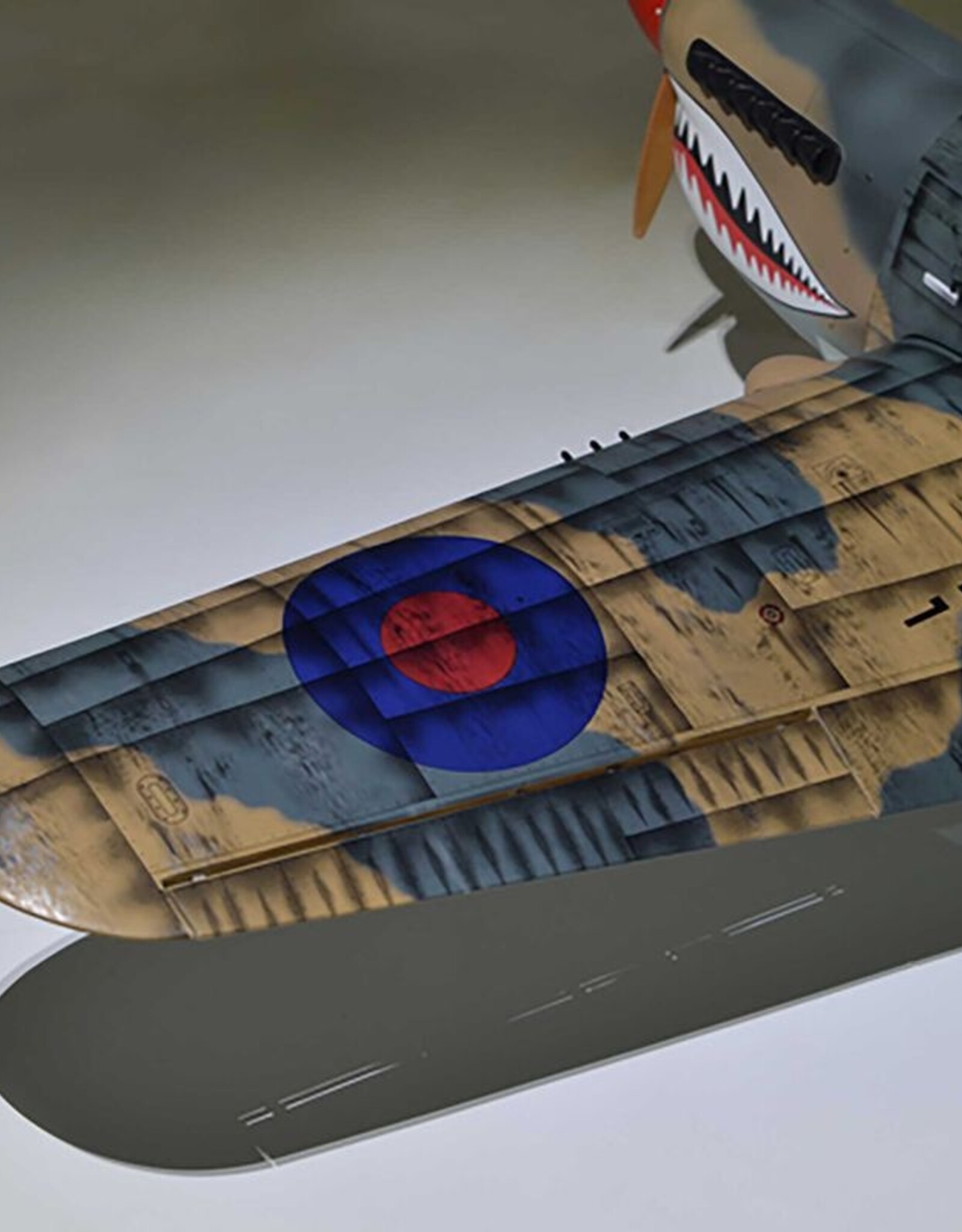 phoenix PMMA0216  P-40 Warhawk 35-55cc ARF