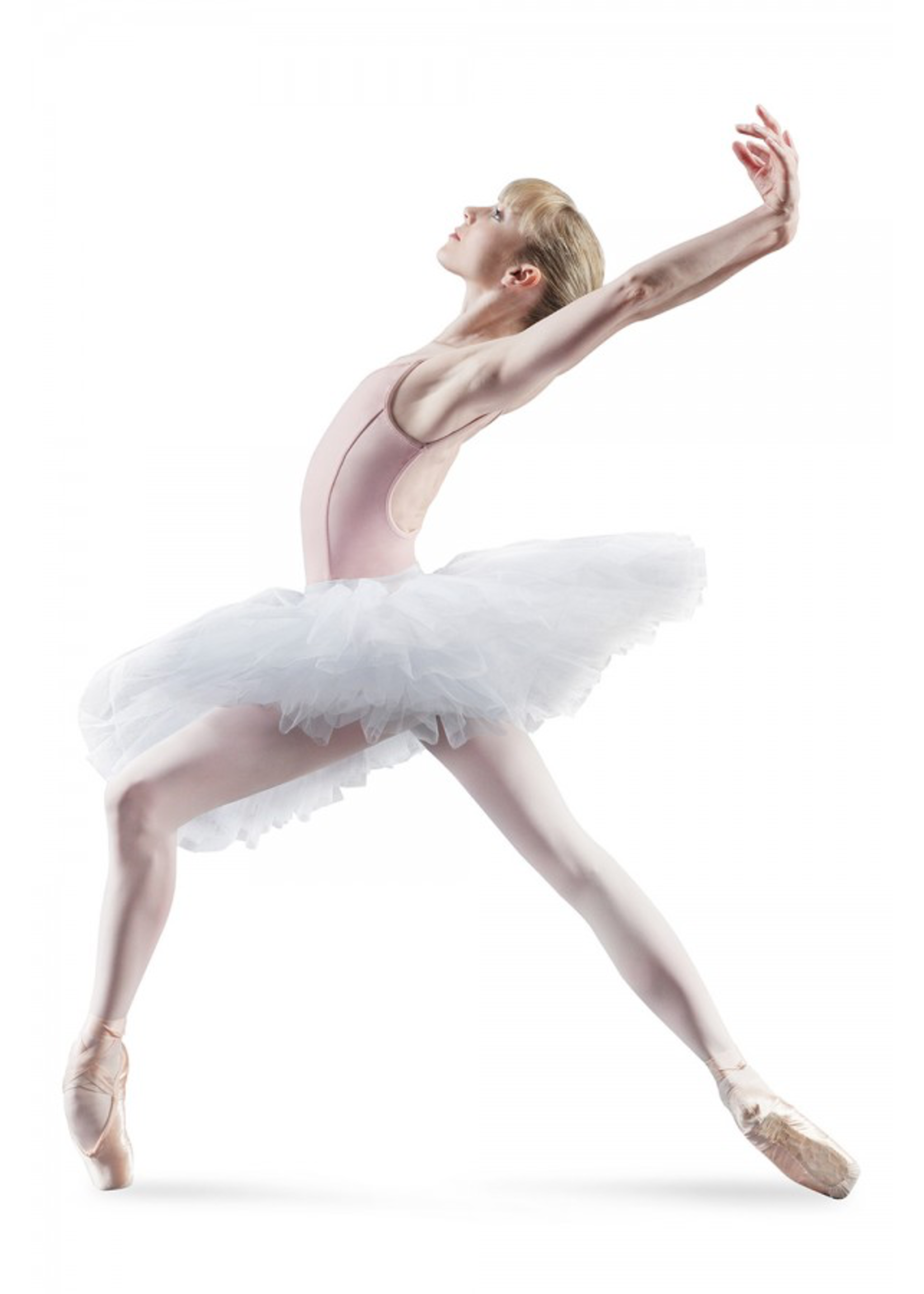 BLOCH & MIRELLA R2921 PERFORMANCE  PLATTER TUTU