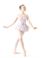 DANSE DE PARIS R0128G SWEET MESH SOFT TUTU SKIRT