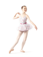 DANSE DE PARIS R0128G SWEET MESH SCARLETTE SOFT TUTU SKIRT