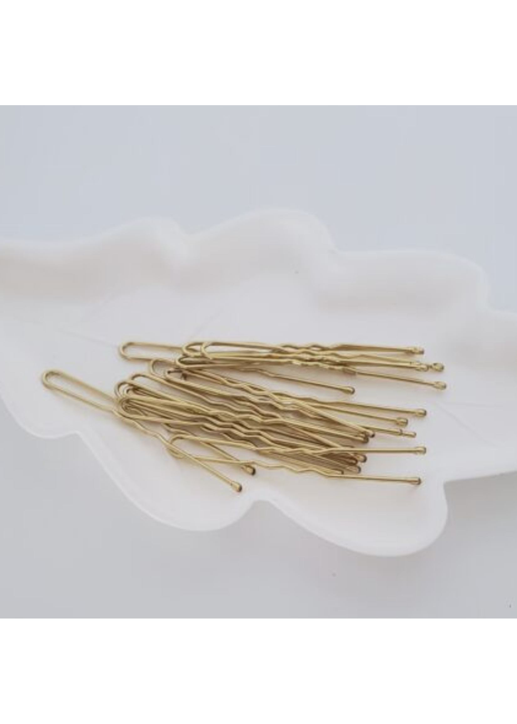 FH2 AZ0029 PACK OF SMALL HAIR PINS