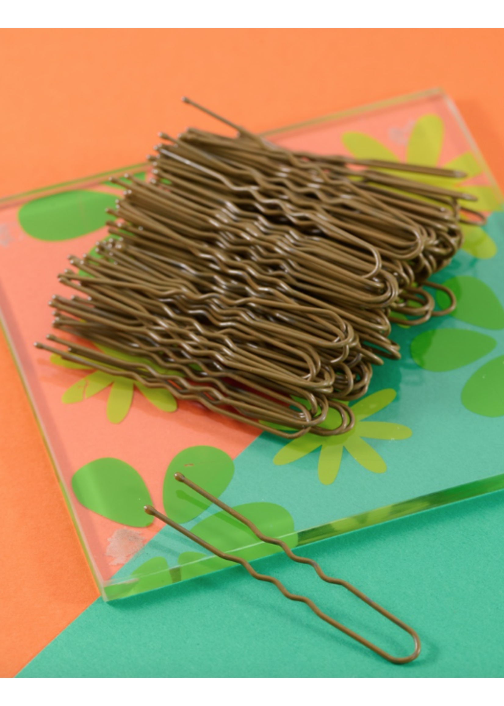 FH2 AZ0029 PACK OF SMALL HAIR PINS