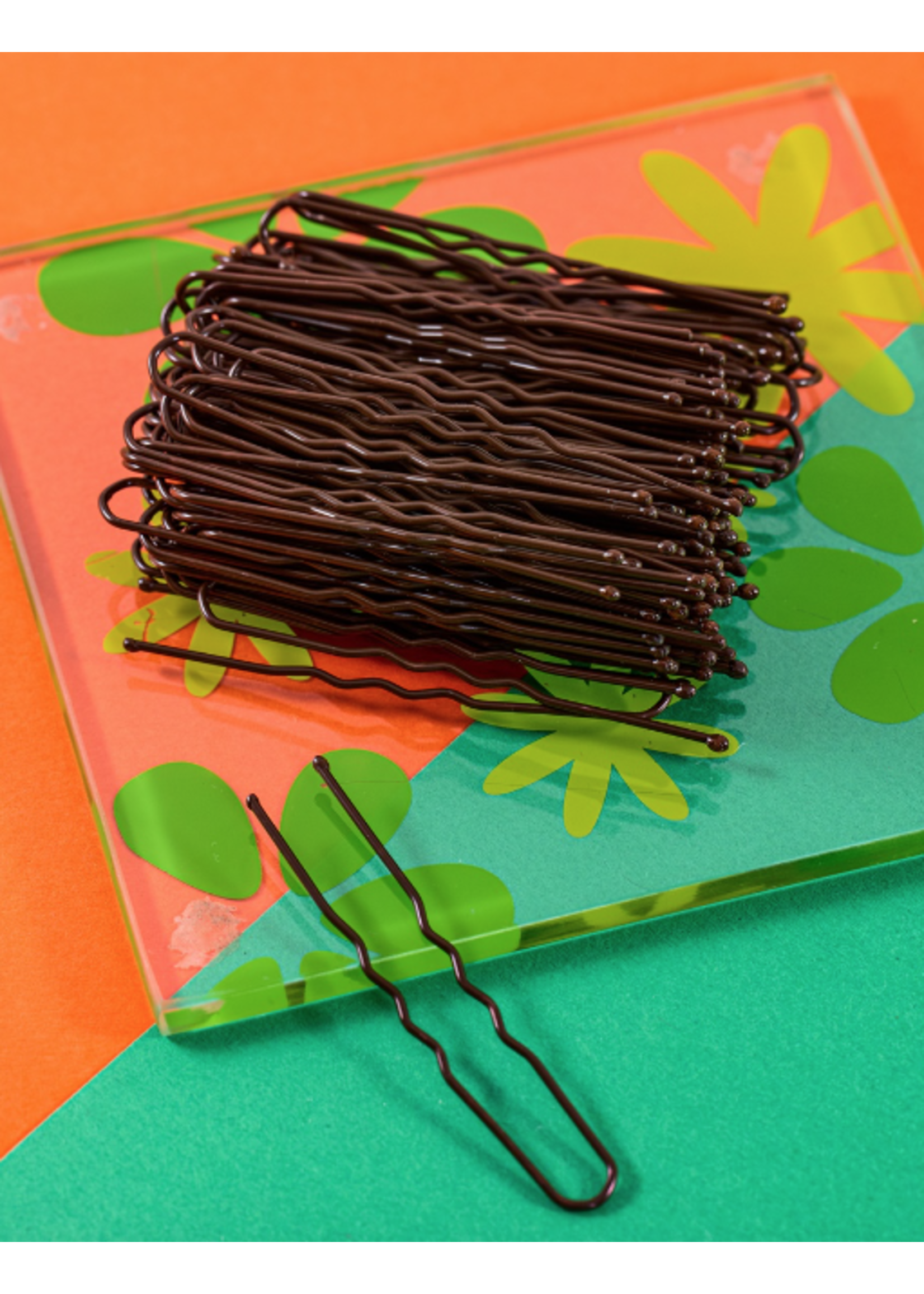 FH2 AZ0029 PACK OF SMALL HAIR PINS